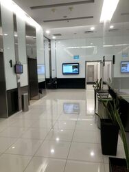 Techpoint (D20), Factory #604230201